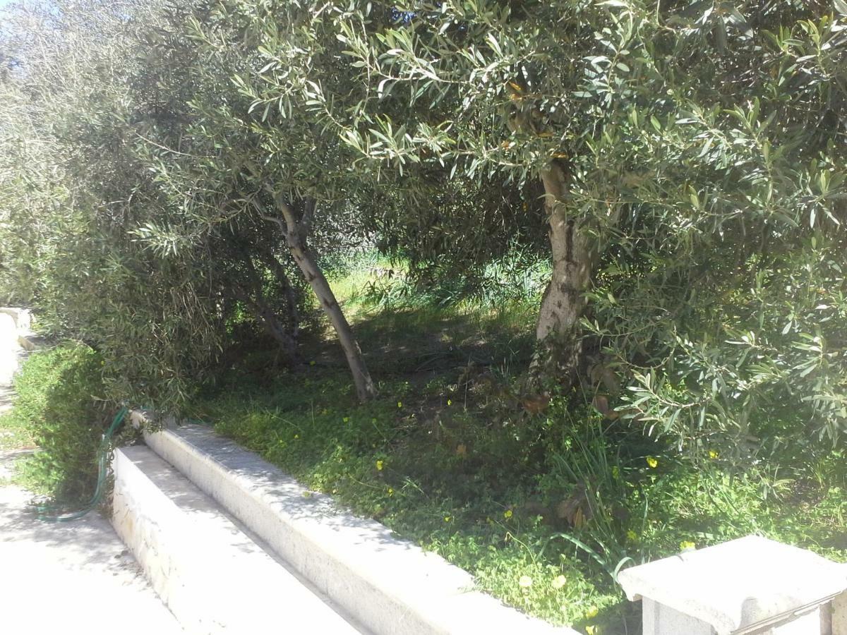 Villa Solinas Sorso Dış mekan fotoğraf
